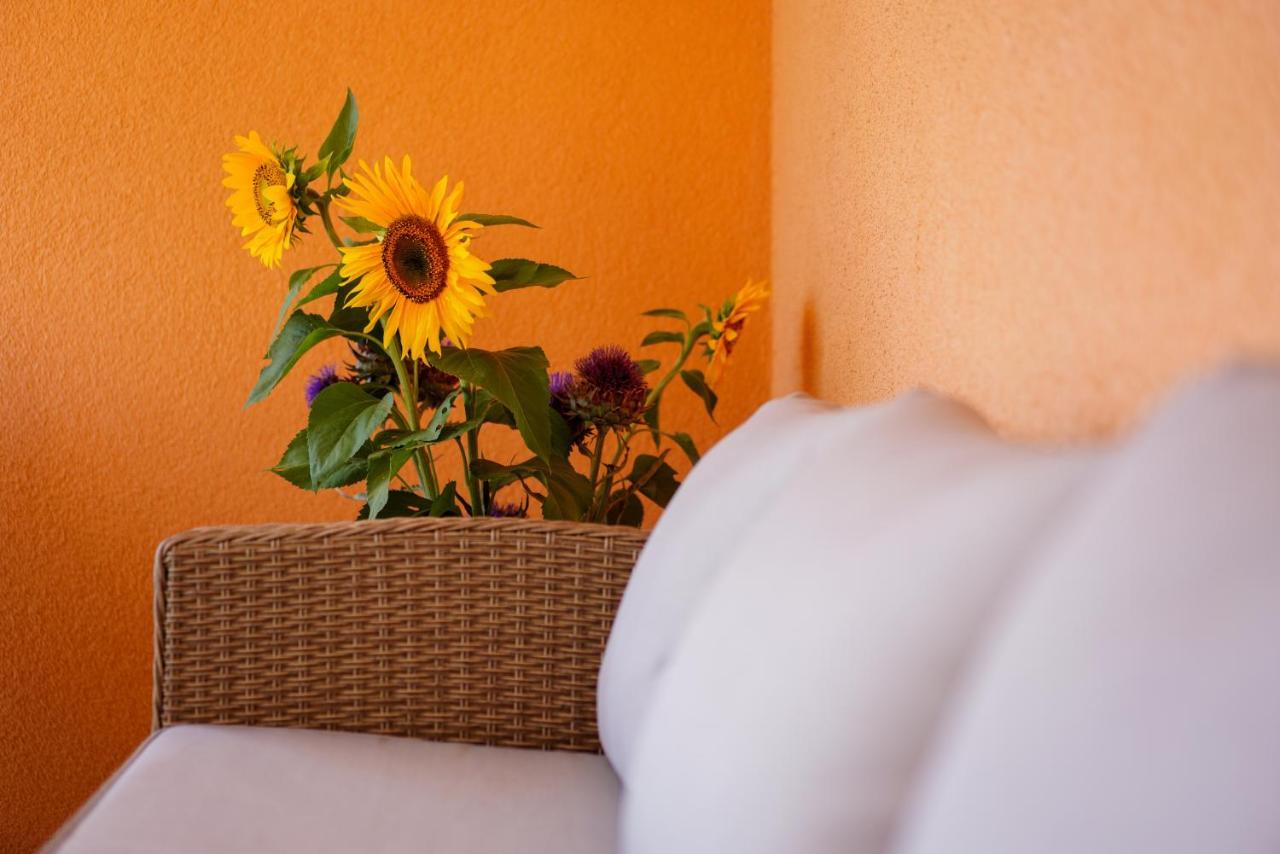 Maslina & Lavanda Apartment