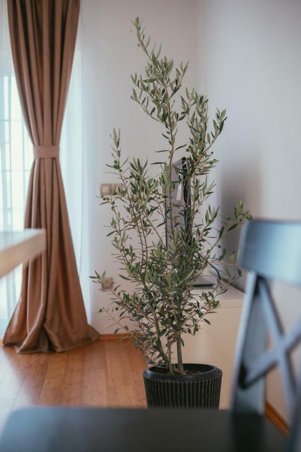 Maslina & Lavanda Apartment