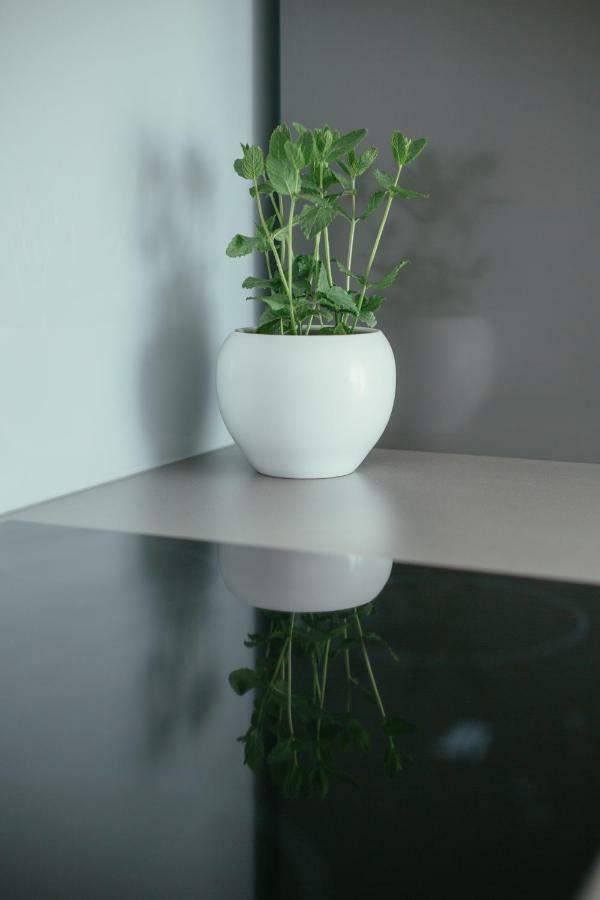 Maslina & Lavanda Apartment Podstrana